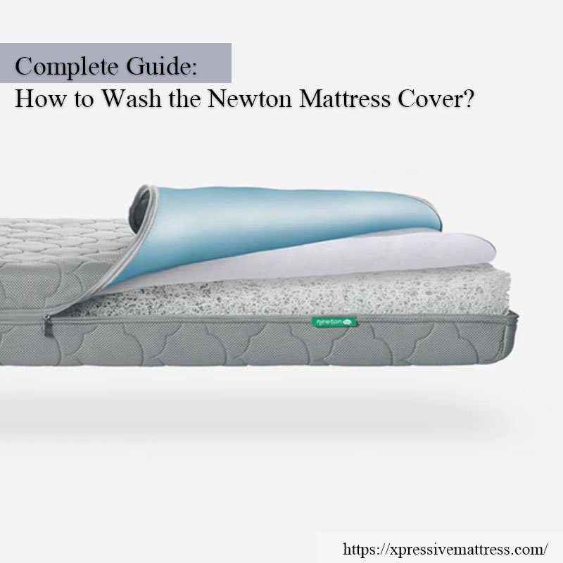 Newton mattress cover on sale