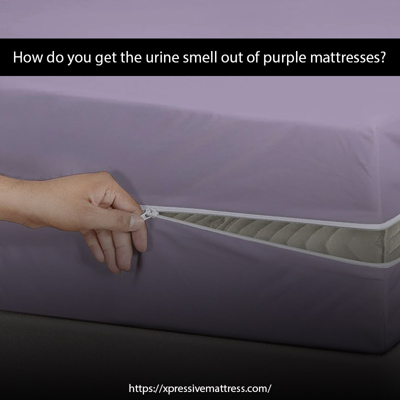 How do you get the urine smell out of purple mattresses?