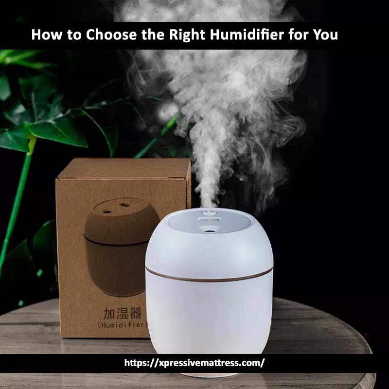 How to Choose the Right Humidifier for You