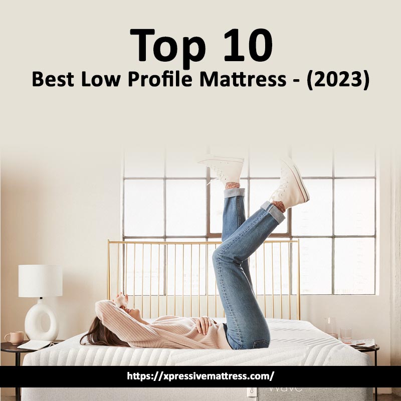 Top 10 Best Low Profile Mattress 2023