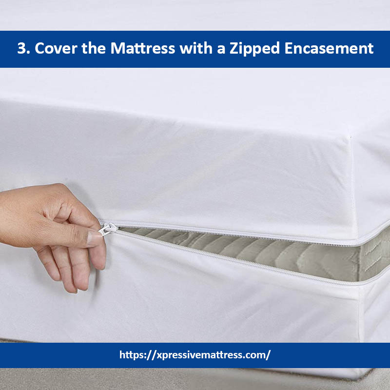 3. Cover the Mattress with a Zipped Encasement