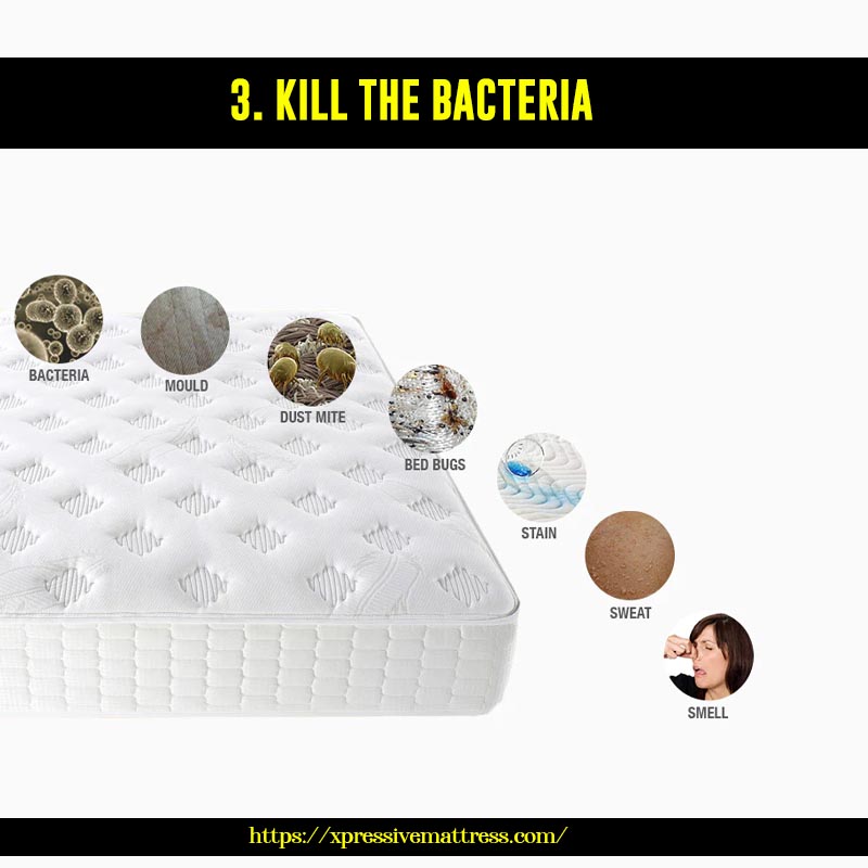 3. Kill the bacteria