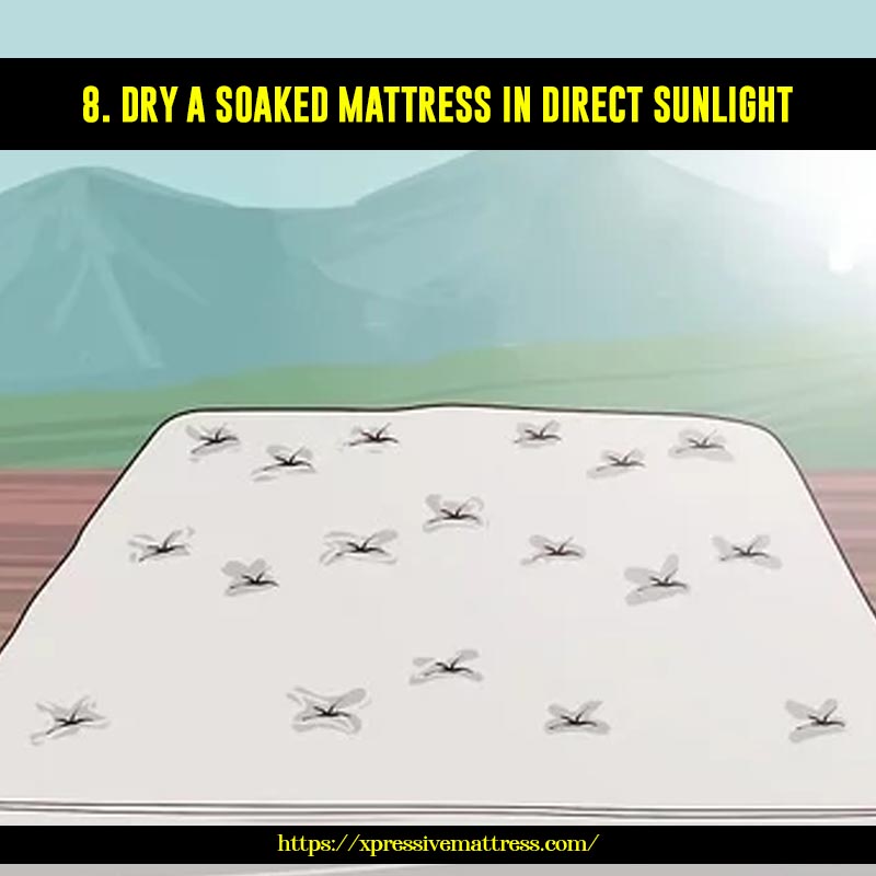 8. Dry a soaked mattress in direct sunlight